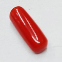 Natural Oval Red Coral  3.66 Carat / 4.02 Ratti