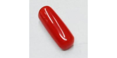 Natural Oval Red Coral  3.66 Carat / 4.02 Ratti