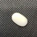 Natural Oval White Coral  5.00 Carat / 5.50 Ratti