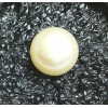 Freshwater Cultivated  Pearl 4.01 Carats