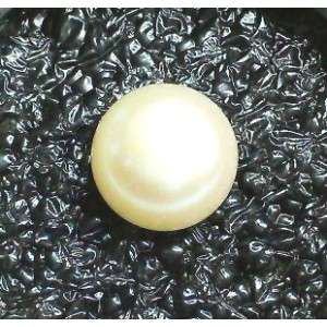 Freshwater Cultivated  Pearl 4.01 Carats