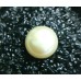 Freshwater Cultivated  Pearl 4.01 Carats