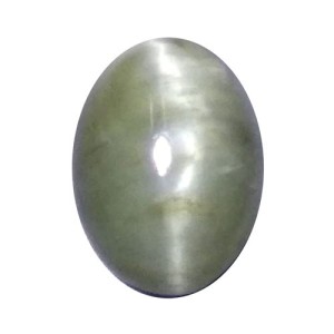 Cat's Eye Oval Cabs 3.63 Carats