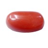 Natural Oval Red Coral 4.93 Carat / 5.42 Ratti