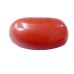 Natural Oval Red Coral 4.93 Carat / 5.42 Ratti