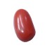 Natural Oval Red Coral 4.93 Carat / 5.42 Ratti