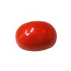 Natural Oval Red Coral 5.15 Carat / 5.66 Ratti