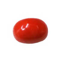 Natural Oval Red Coral 5.15 Carat / 5.66 Ratti