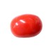 Natural Oval Red Coral 5.15 Carat / 5.66 Ratti