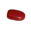 Natural Oval Red Coral  5.35 Carat / 5.88 Ratti