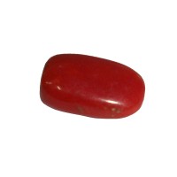 Natural Oval Red Coral  5.35 Carat / 5.88 Ratti