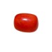 Natural Oval Red Coral 7.06 carat  / 7.76 Ratti 