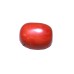 Natural Oval Red Coral 7.06 carat  / 7.76 Ratti 