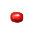 Natural Oval Red Coral 7.06 carat  / 7.76 Ratti 