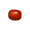 Natural Oval Red Coral 7.06 carat  / 7.76 Ratti 