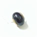 Blue Goldstone Donut Pendant