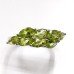 Natural Peridot Ring in Sterling Silver