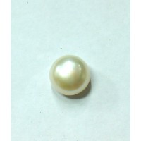 Freshwater Cultivated  Pearl  7.04 Carats / 7.73 Ratti