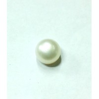 Freshwater Cultivated  Pearl 5.57 Carats / 6.12 Ratti