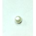 Freshwater Cultivated  Pearl 5.57 Carats / 6.12 Ratti