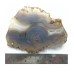 Banded Agate Geode Slab/Slice- Large-Grade "A"- Natural Color - 610 Carats