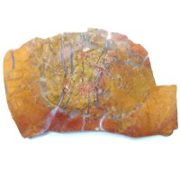 Petrified Wood Slab/Slice- Large-Grade "A"- Natural Color - 1600 Carats