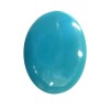 Turquoise Oval Cabochon 09.66 Carats